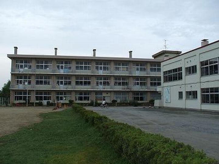 セントポーリアの周辺