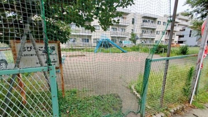 シンセーロの周辺