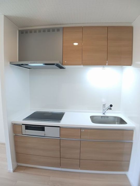 滋賀県栗東市手原1(アパート)の賃貸物件のキッチン