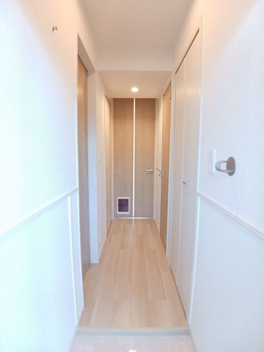 滋賀県栗東市手原1(アパート)の賃貸物件の玄関