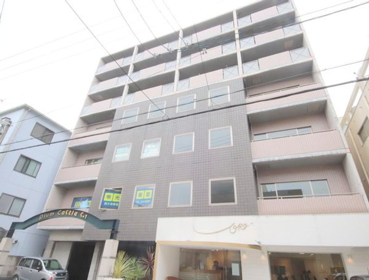 プラムキャッスルS-1の地図