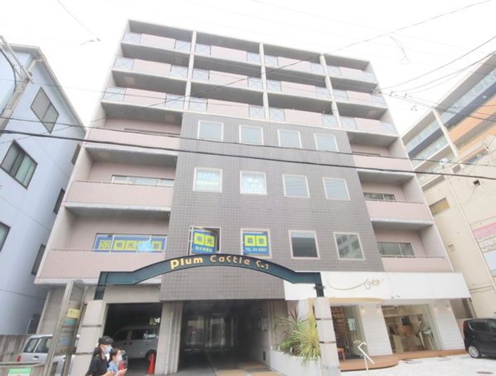 プラムキャッスルS-1の外観