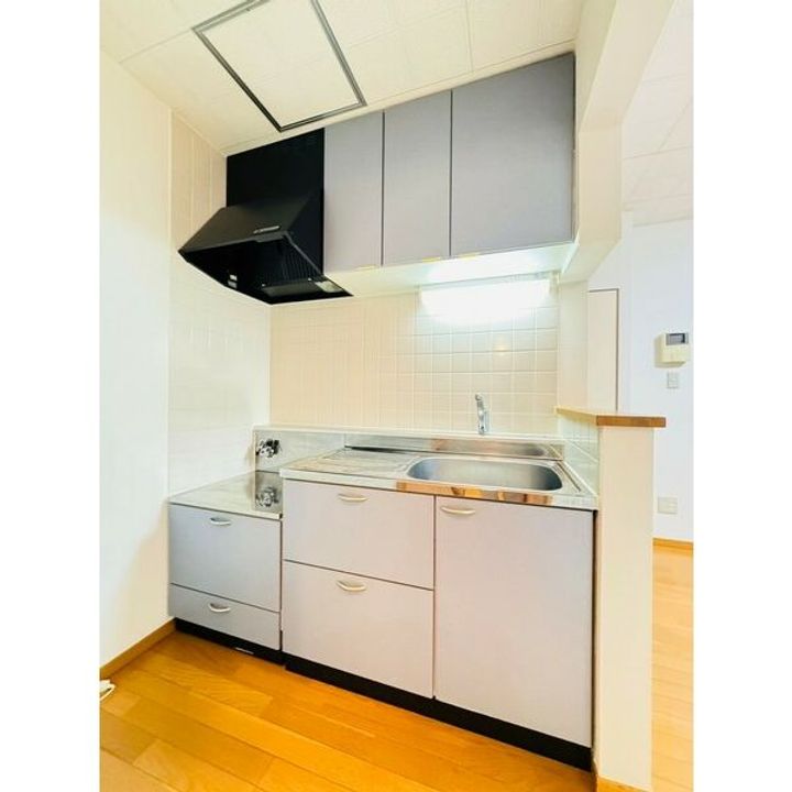 北海道札幌市中央区南六条西18(アパート)の賃貸物件のキッチン