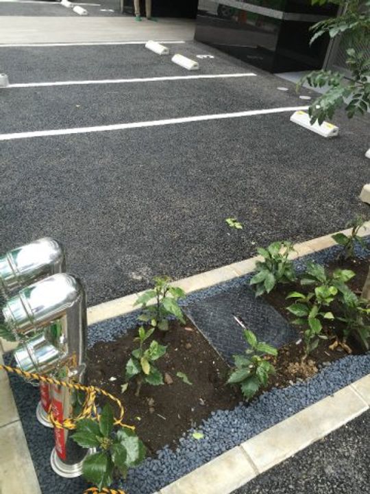 メインステージ錦糸町VIIラピスの地図