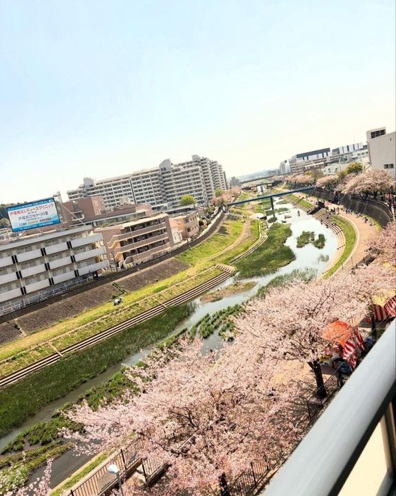 神奈川県横浜市戸塚区戸塚町(マンション)の賃貸物件のその他画像
