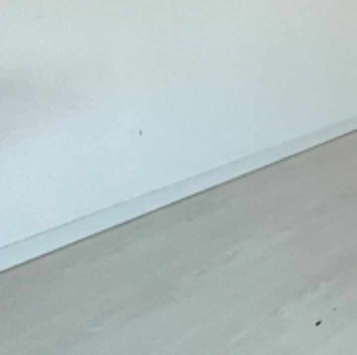 TRADISRISE錦糸町の居間