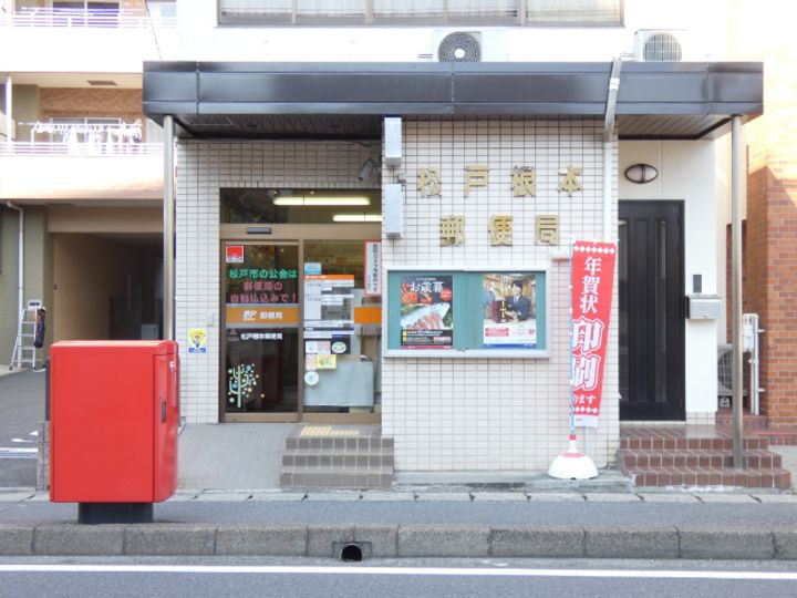 オリーブの周辺