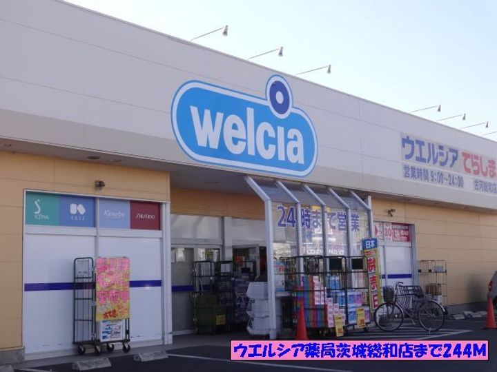 チェリーブラッサムIIの周辺