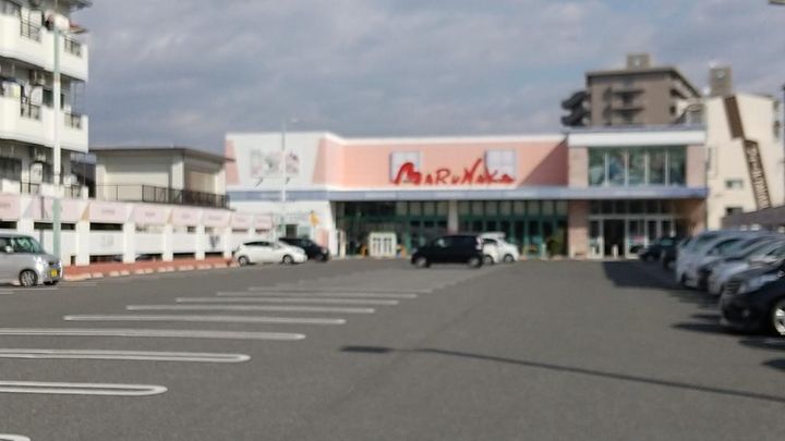 高知県高知市高須2(マンション)の賃貸物件の周辺