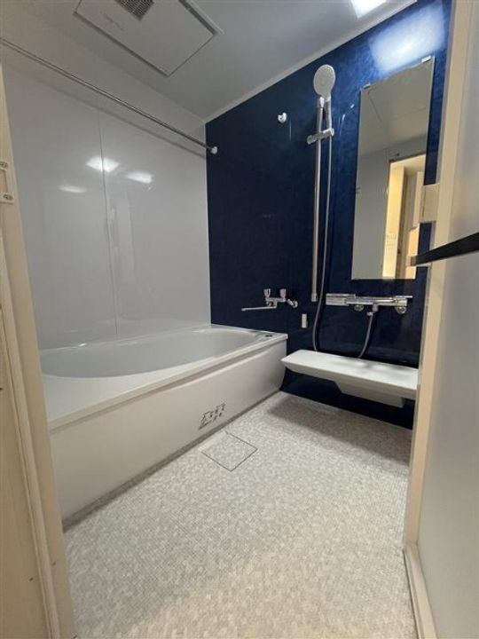 レーヴグランディてだこ浦西タワーの風呂