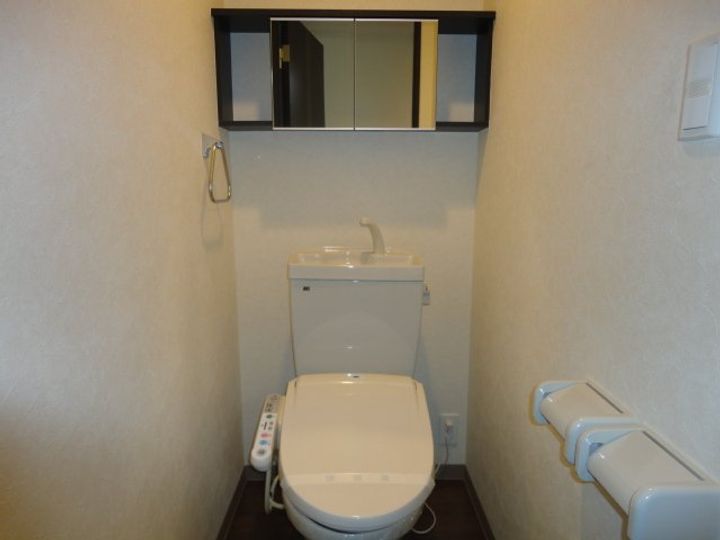 広島県福山市新涯町2(マンション)の賃貸物件の内装