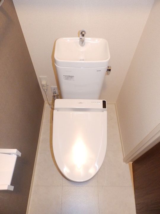 ソフィアの内装