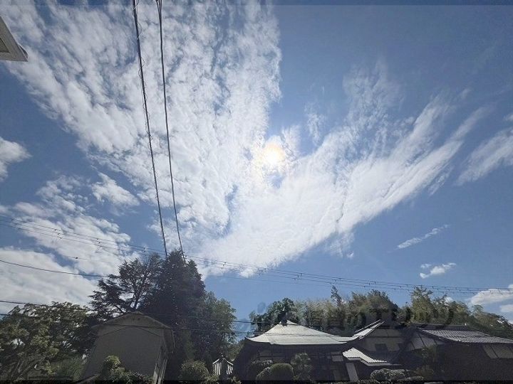 レオパレス王寺のその他画像