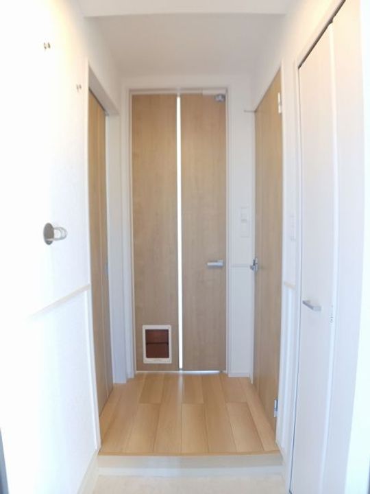 滋賀県栗東市手原1(アパート)の賃貸物件の玄関