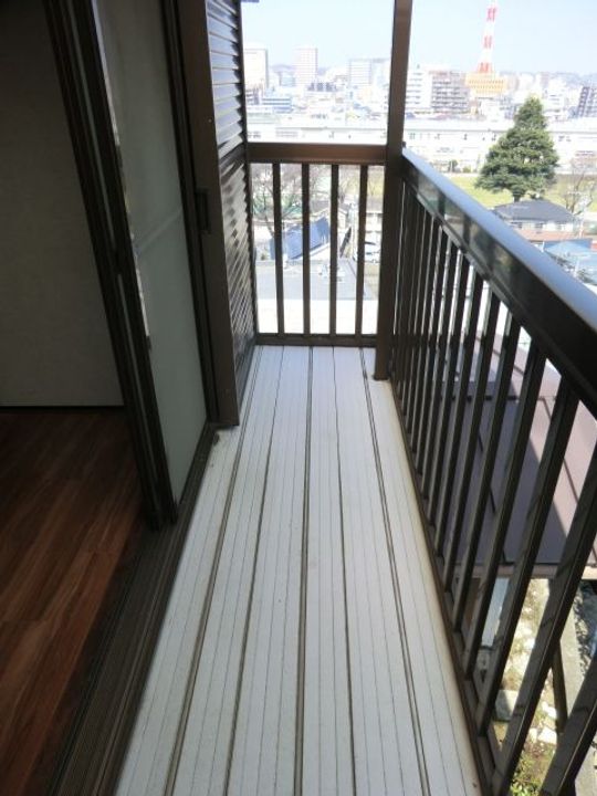 コスモスの内装