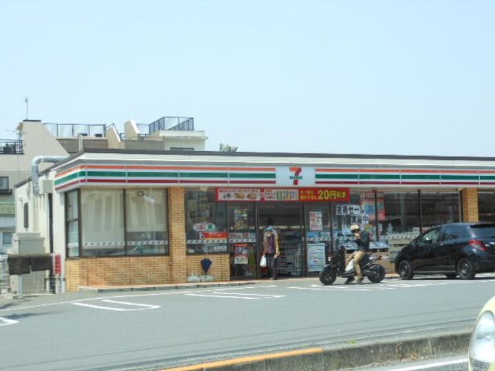 コスモスの周辺