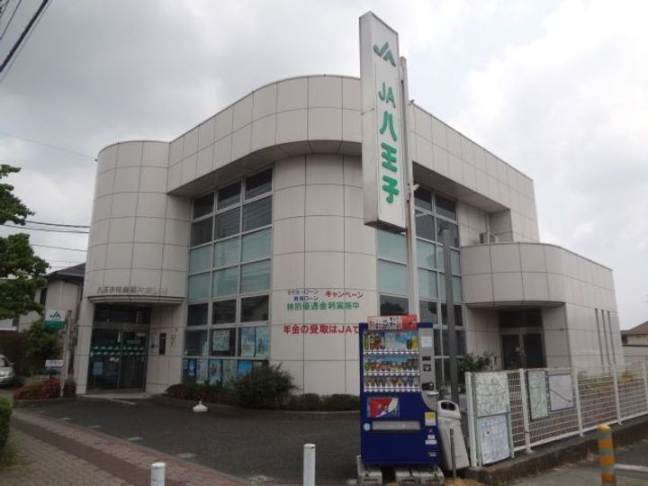 コスモスの周辺