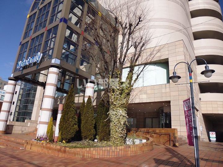 アイリスハイツ2号館の周辺