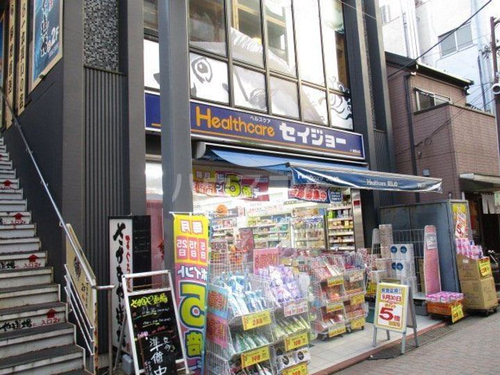 サンテミリオン田園調布南の周辺