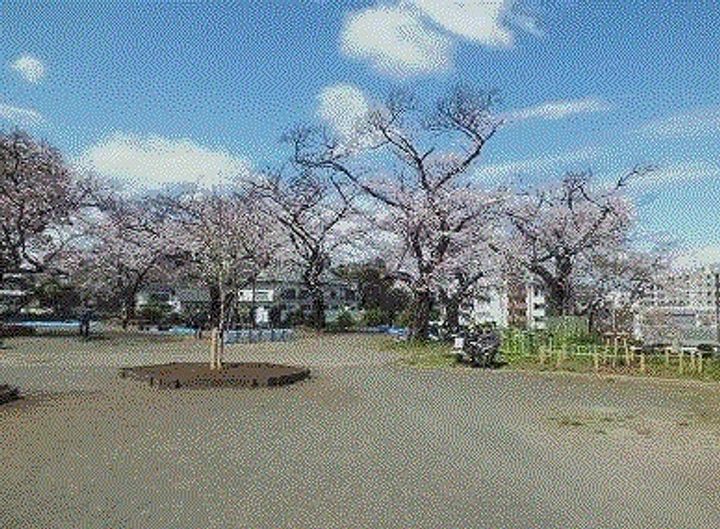 コスモコーポ幸ヶ谷の周辺