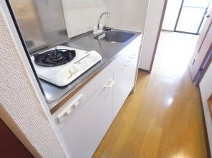 東京都墨田区錦糸1(マンション)の賃貸物件の玄関