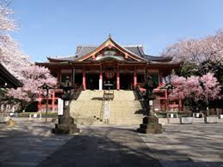 シンシア学芸大学の周辺