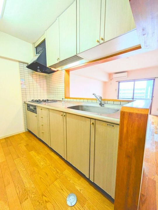 鹿児島県鹿児島市南栄5(マンション)の賃貸物件のキッチン