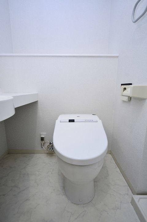 東京都渋谷区広尾5(マンション)の賃貸物件の内装