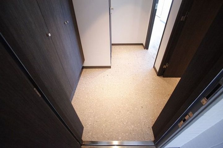 東京都港区南麻布4(マンション)の賃貸物件の玄関