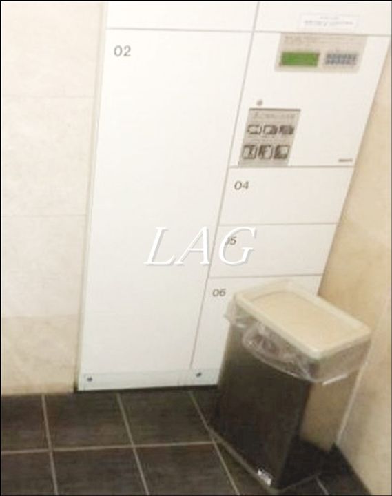 Le‐lion Freyer 南砂 westの地図