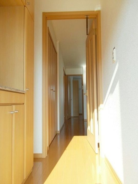 新潟県見附市本所1(アパート)の賃貸物件の玄関