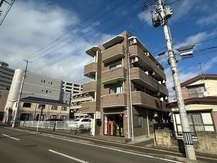 コットンKの外観