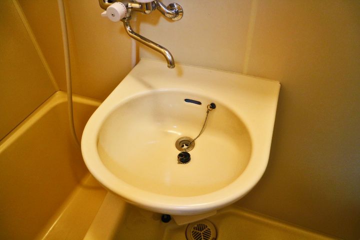 埼玉県越谷市赤山町2(マンション)の賃貸物件の内装