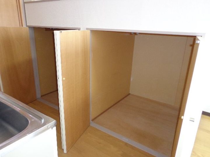 埼玉県越谷市赤山町2(マンション)の賃貸物件の内装