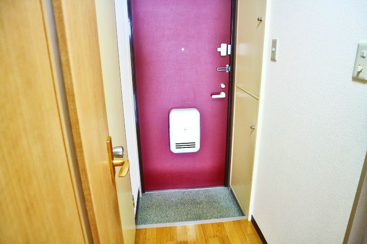 埼玉県越谷市赤山町2(マンション)の賃貸物件の玄関