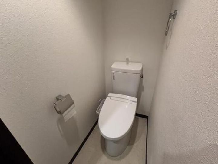 神奈川県川崎市高津区下野毛2(マンション)の賃貸物件の内装