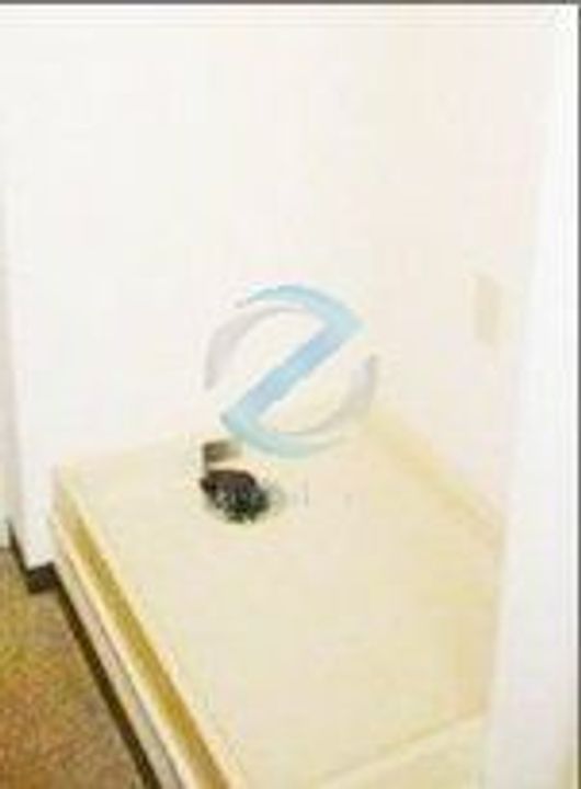 千葉県浦安市海楽1(マンション)の賃貸物件のその他画像