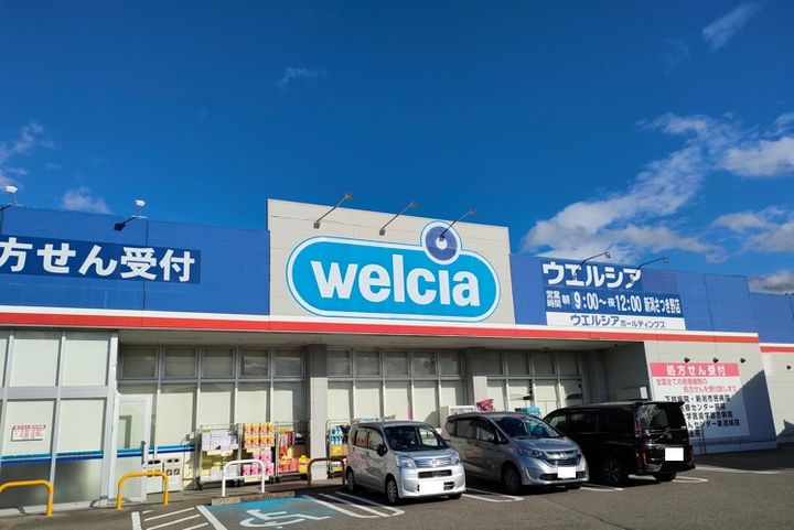 新潟県新潟市秋葉区下興野(アパート)の賃貸物件の周辺