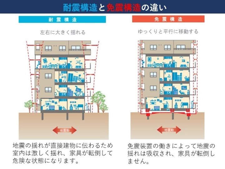 アドニスのその他画像