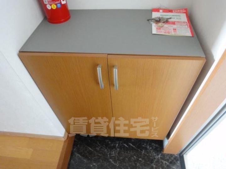 大阪府堺市北区東雲東町3(アパート)の賃貸物件の玄関