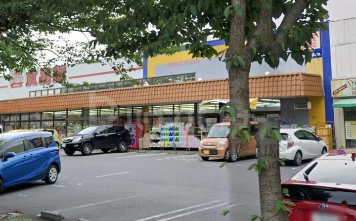 オレンジ・ペコの周辺