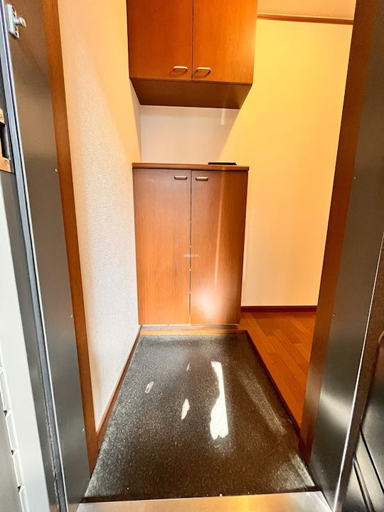 大阪府大阪市生野区巽南1(アパート)の賃貸物件の玄関