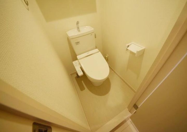 埼玉県川口市芝4(マンション)の賃貸物件の内装