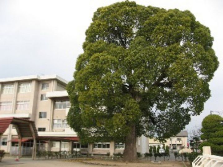 岡山県岡山市東区益野町(一戸建)の賃貸物件の周辺