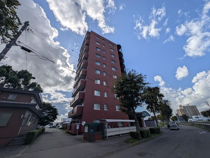 プロスペリティクロツの外観