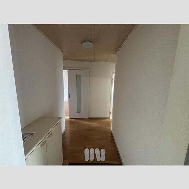 兵庫県伊丹市荒牧3(アパート)の賃貸物件の玄関