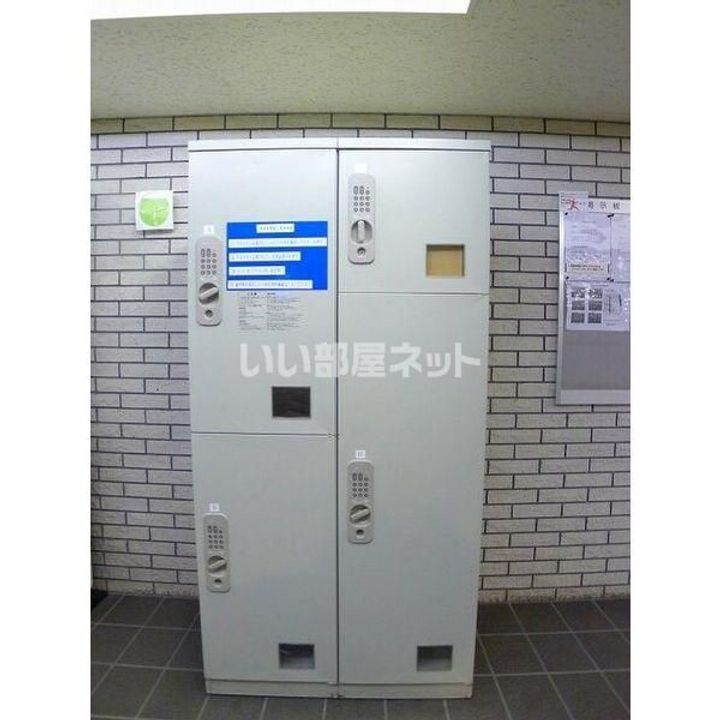 栃木県宇都宮市上大曽町(マンション)の賃貸物件の内装