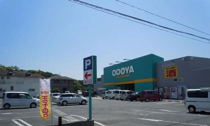 ダックテイルT&Yの周辺