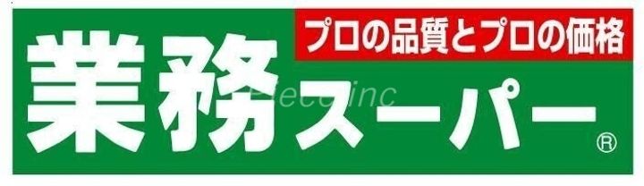 フレンシアノイエ東三国の周辺