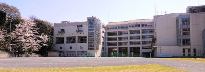 東京都港区白金台4(マンション)の賃貸物件の周辺